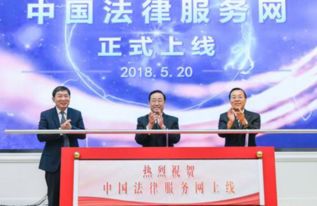 中国法律服务网上线首日运行平稳，法律咨询服务深受群众欢迎